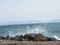 IMG_0305.JPG