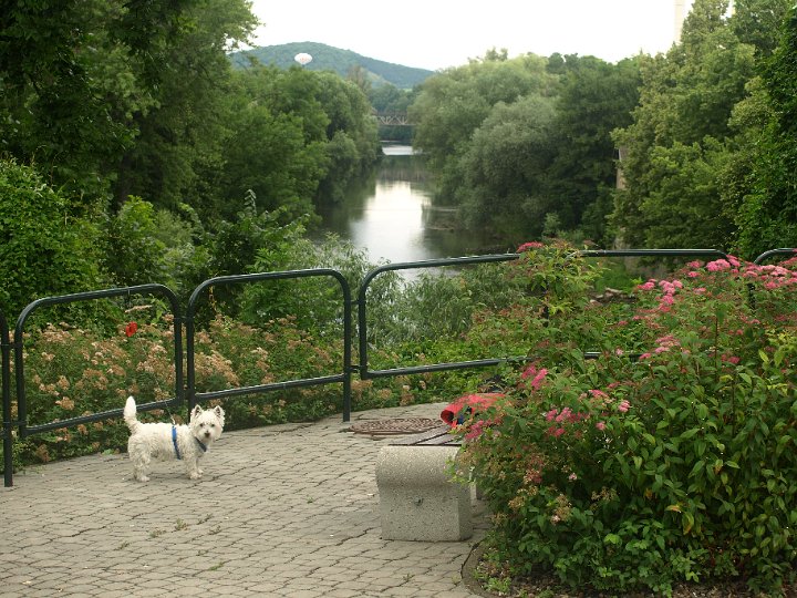 P6185036.JPG